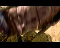 PDVD_3819
