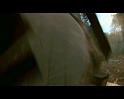PDVD_3825