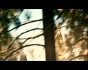 PDVD_3839