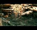 PDVD_3841