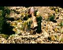 PDVD_3847