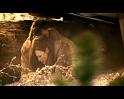 PDVD_3877