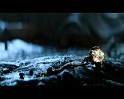 PDVD_397