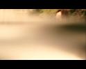 PDVD_4037