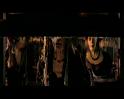 PDVD_405