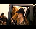 PDVD_4307