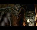 PDVD_4396