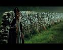 PDVD_447