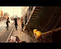 PDVD_4478