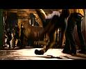 PDVD_4709