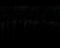 PDVD_514