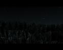 PDVD_519