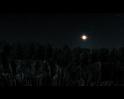 PDVD_520