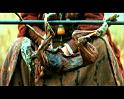 PDVD_735