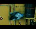 PDVD_767