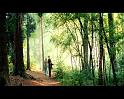 PDVD_774