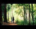 PDVD_775