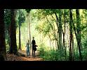 PDVD_776