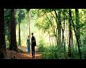 PDVD_777