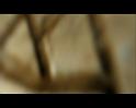 PDVD_829