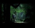 PDVD_848