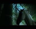 PDVD_849