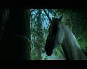 PDVD_850