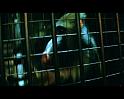 PDVD_871