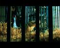PDVD_872