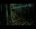 PDVD_874