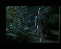 PDVD_922
