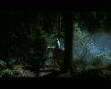 PDVD_923