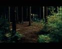 PDVD_946