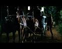 PDVD_951
