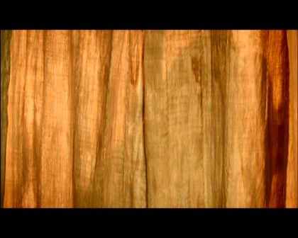PDVD_1376.jpg
