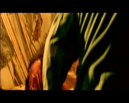 PDVD_1392.jpg