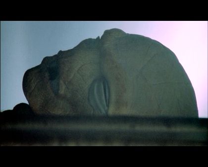 PDVD_1725.jpg