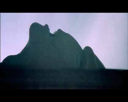 PDVD_1727.jpg