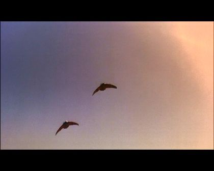 PDVD_2107.jpg