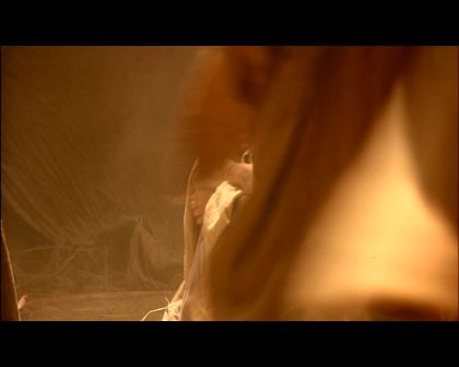 PDVD_2134.jpg
