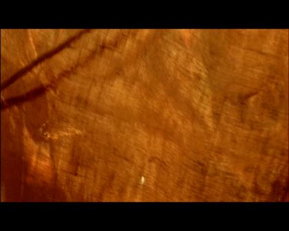 PDVD_2599.jpg