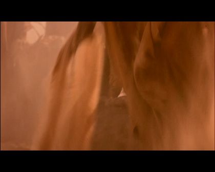 PDVD_2642.jpg