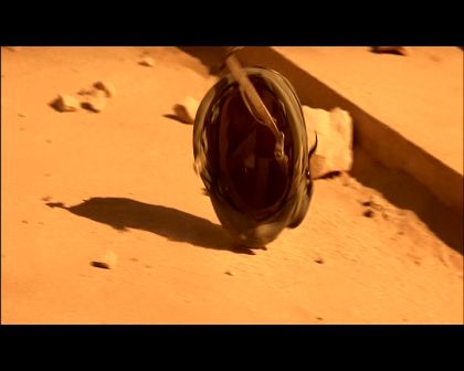 PDVD_2951.jpg