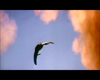 PDVD_2994.jpg
