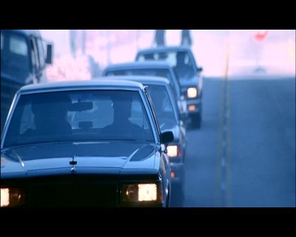 PDVD_305.jpg