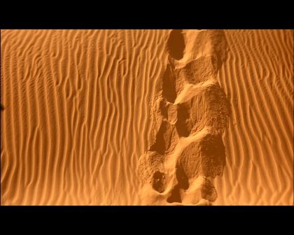 PDVD_881.jpg