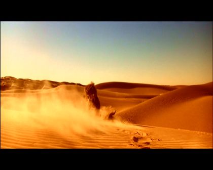 PDVD_918.jpg
