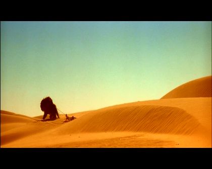 PDVD_925.jpg