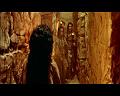 PDVD_2286