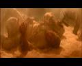 PDVD_2959